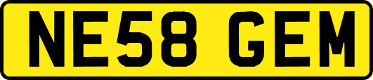 NE58GEM