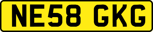 NE58GKG