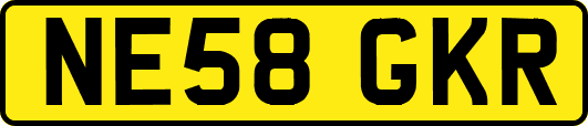 NE58GKR