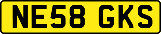 NE58GKS