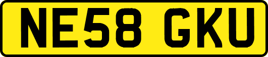 NE58GKU