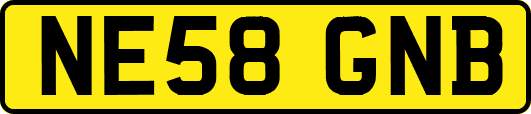 NE58GNB