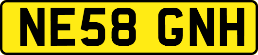 NE58GNH