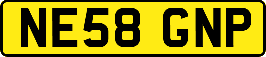 NE58GNP