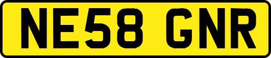NE58GNR