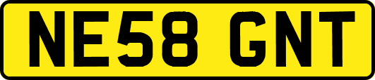 NE58GNT