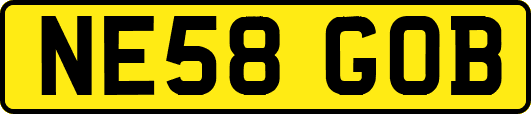 NE58GOB