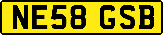NE58GSB