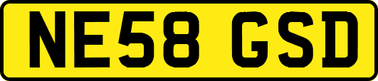 NE58GSD