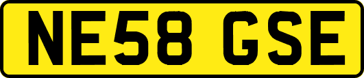 NE58GSE