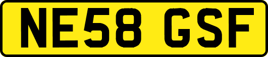 NE58GSF
