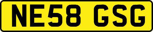 NE58GSG