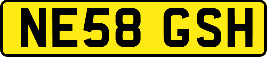 NE58GSH