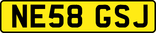 NE58GSJ