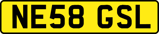 NE58GSL