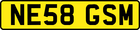 NE58GSM