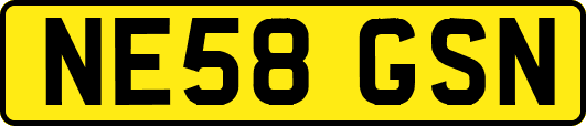 NE58GSN