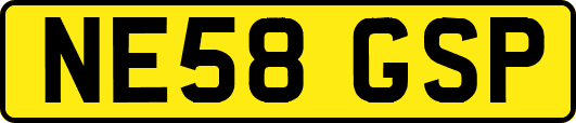 NE58GSP