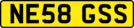 NE58GSS