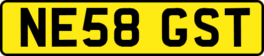 NE58GST
