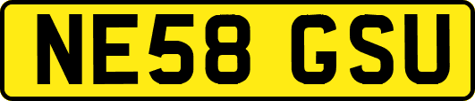 NE58GSU