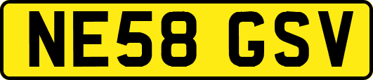 NE58GSV