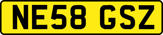 NE58GSZ