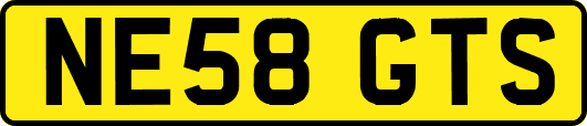 NE58GTS