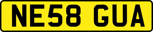 NE58GUA