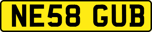 NE58GUB