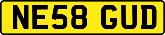 NE58GUD