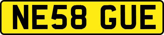 NE58GUE