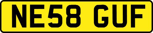 NE58GUF