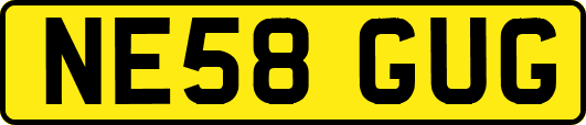 NE58GUG