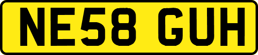 NE58GUH