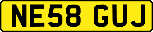 NE58GUJ