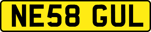 NE58GUL