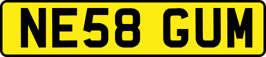 NE58GUM