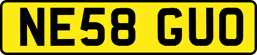 NE58GUO