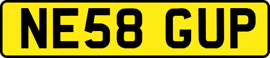 NE58GUP