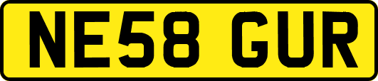 NE58GUR