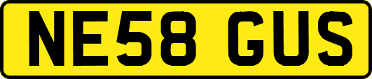 NE58GUS