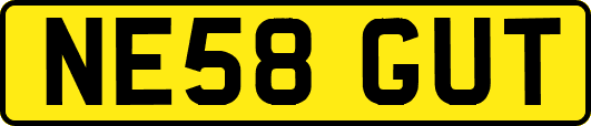NE58GUT
