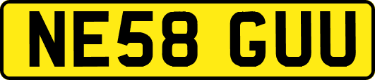 NE58GUU