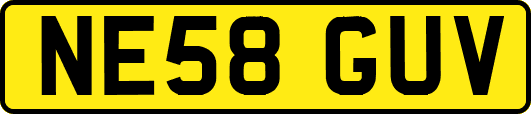 NE58GUV