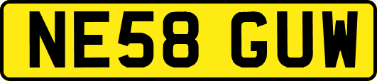 NE58GUW