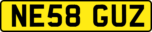 NE58GUZ