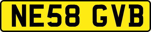 NE58GVB