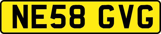 NE58GVG