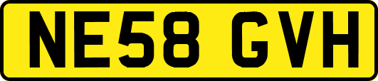 NE58GVH